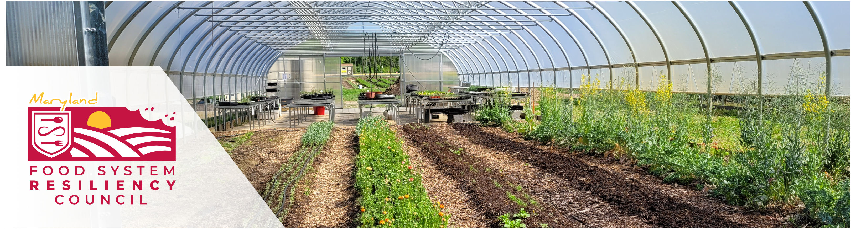 Header image featuring the FSRC logo and a photo of a variety of produce plants growing inside a greenhouse