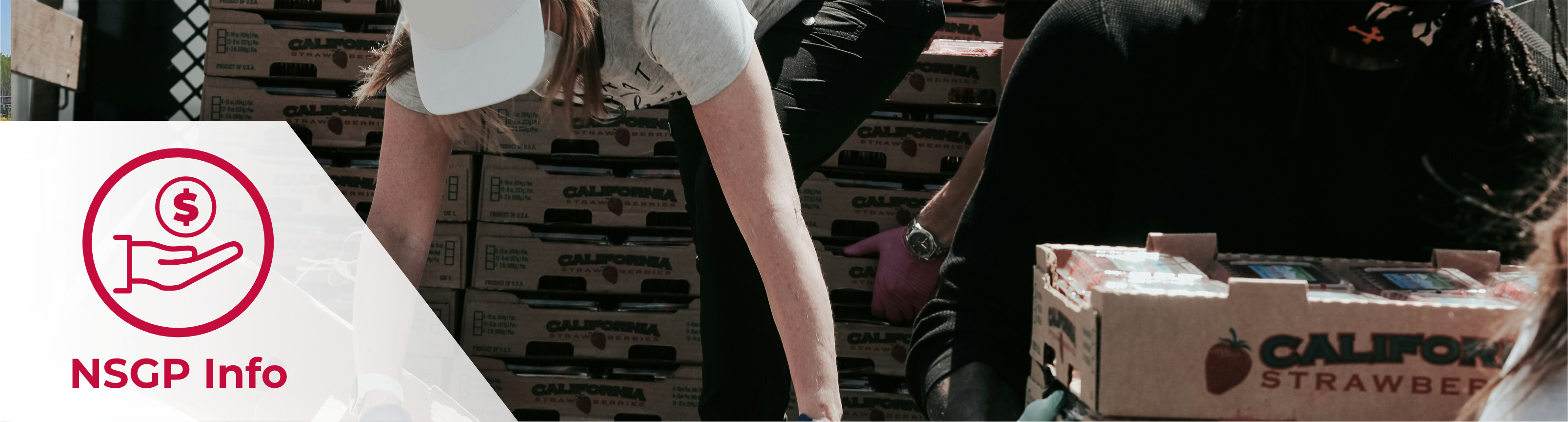 A header image of volunteers moving pallets of donated food, along with the title NSGP Info